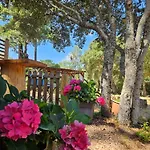 Domaine Authentique De Rose