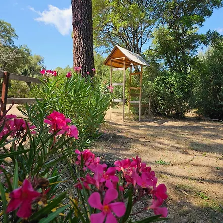 Luxury tent Domaine Authentique De Rose